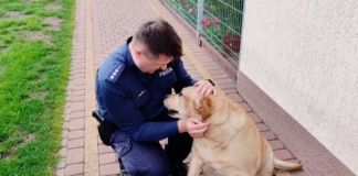 Kontrola w gminie Kramsk. Sprawdzali warunki trzymania zwierząt Kontrola w gminie Kramsk. Sprawdzali warunki trzymania zwierząt