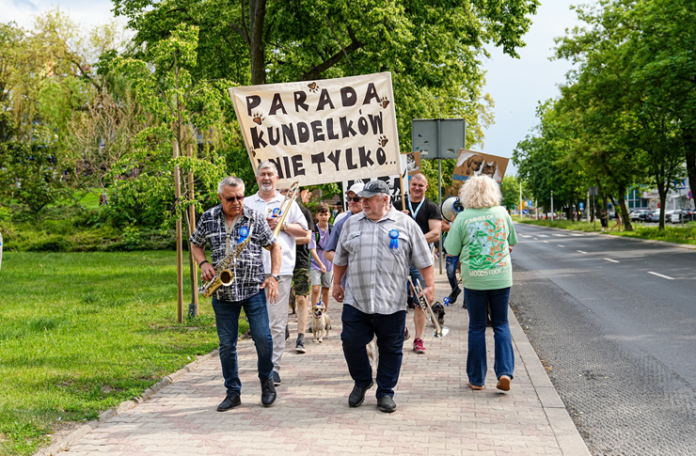 Kolorowa parada psów przeszła przez Konin. Za nami 12. edycja wydarzenia